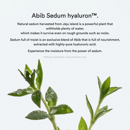 ABIB Collagen Gel Mask (Sedum Jelly) - 35g x 1 Mask